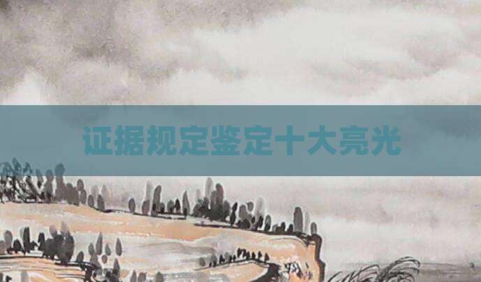 证据规定鉴定十大亮光