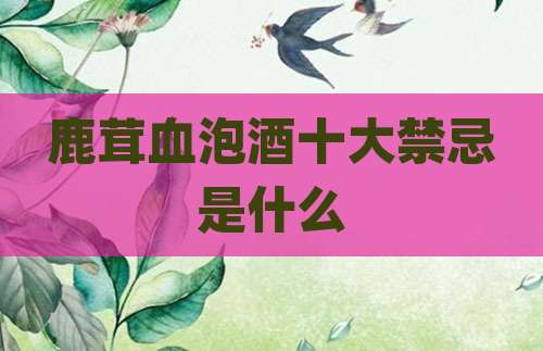 鹿茸血泡酒十大禁忌是什么