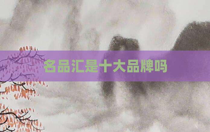 名品汇是十大品牌吗