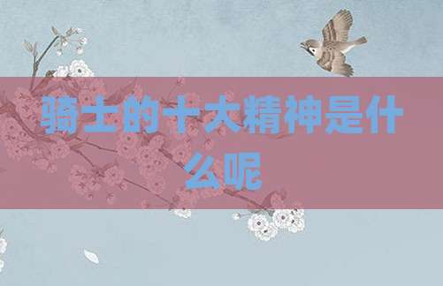 骑士的十大精神是什么呢