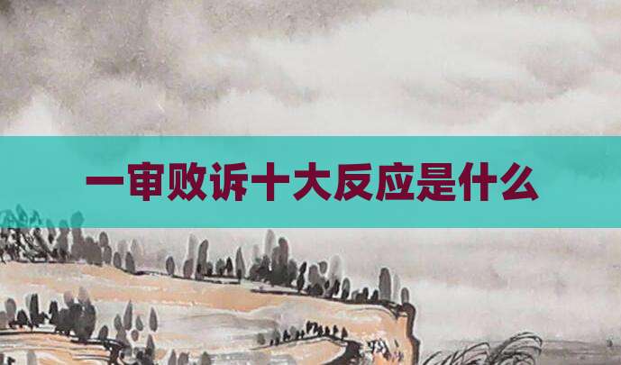 一审败诉十大反应是什么