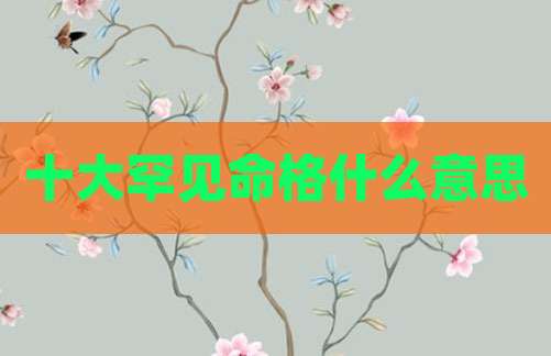 十大罕见命格什么意思