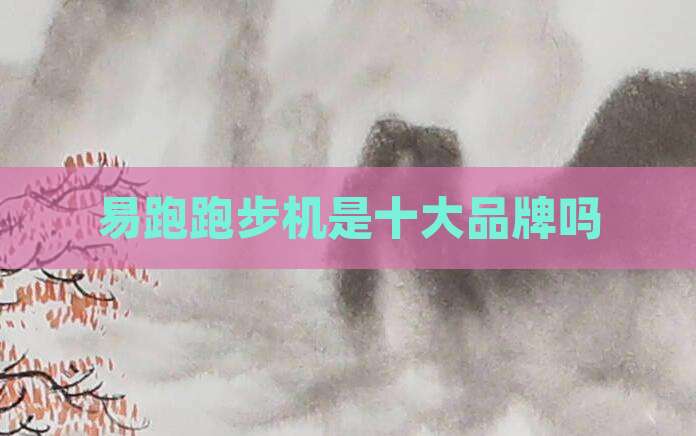 易跑跑步机是十大品牌吗