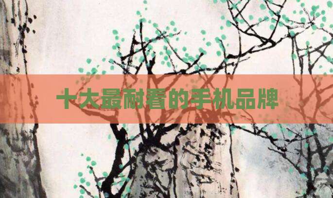 十大最耐看的手机品牌