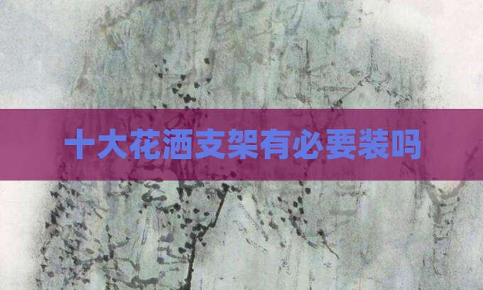 十大花洒支架有必要装吗