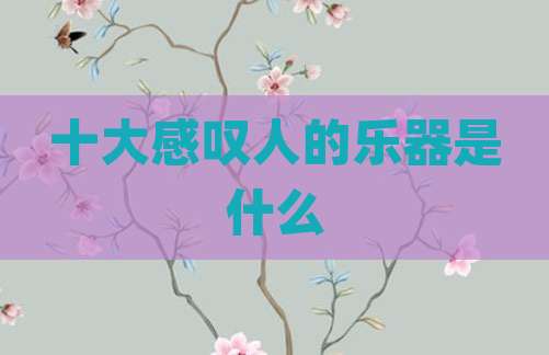 十大感叹人的乐器是什么