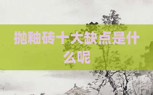 抛釉砖十大缺点是什么呢
