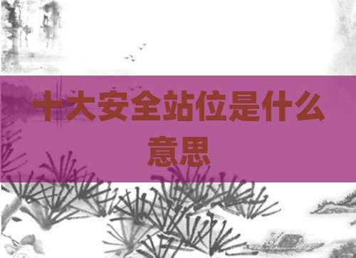 十大安全站位是什么意思