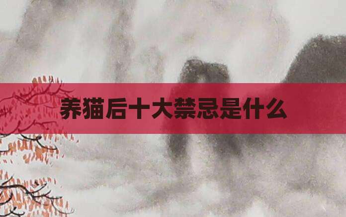 养猫后十大禁忌是什么