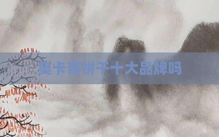 奥卡奇饼干十大品牌吗