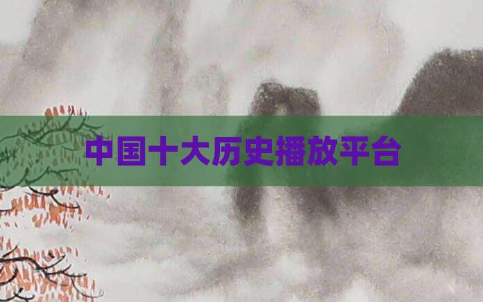 中国十大历史播放平台