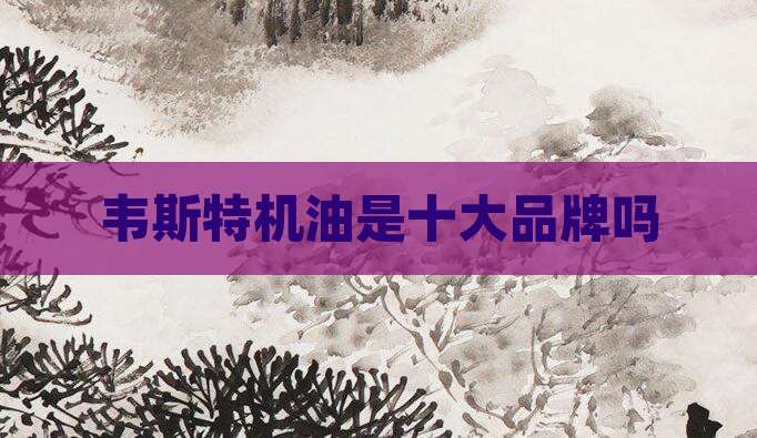 韦斯特机油是十大品牌吗