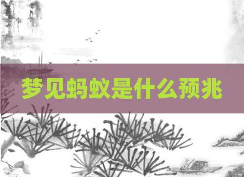 梦见蚂蚁是什么预兆