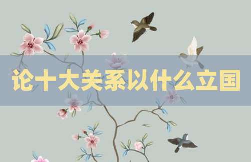 论十大关系以什么立国