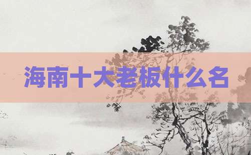 海南十大老板什么名