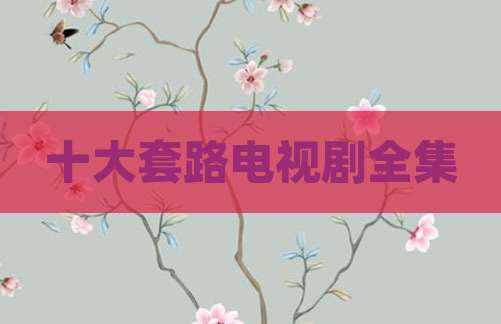 十大套路电视剧全集