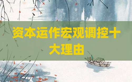 资本运作宏观调控十大理由