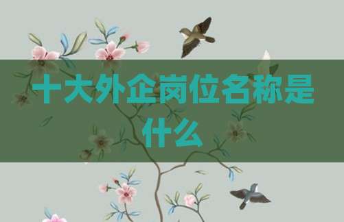 十大外企岗位名称是什么