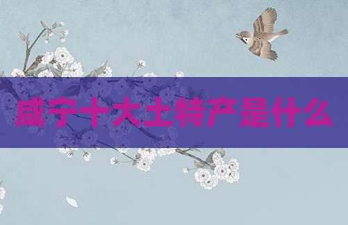 咸宁十大土特产是什么