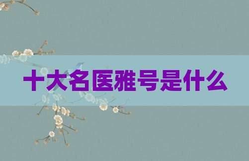 十大名医雅号是什么