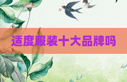 适度服装十大品牌吗