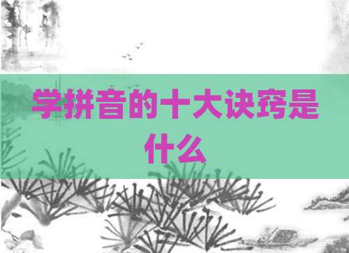 学拼音的十大诀窍是什么