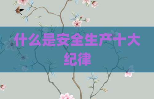 什么是安全生产十大纪律