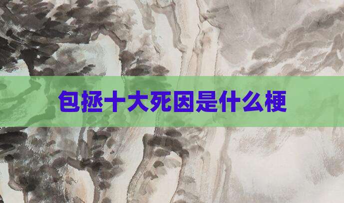 包拯十大死因是什么梗