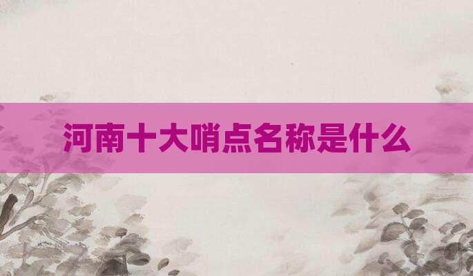 河南十大哨点名称是什么