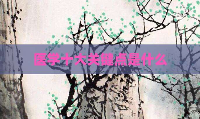 医学十大关键点是什么