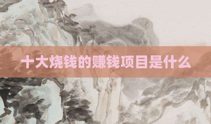 十大烧钱的赚钱项目是什么