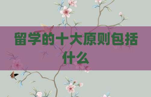 留学的十大原则包括什么