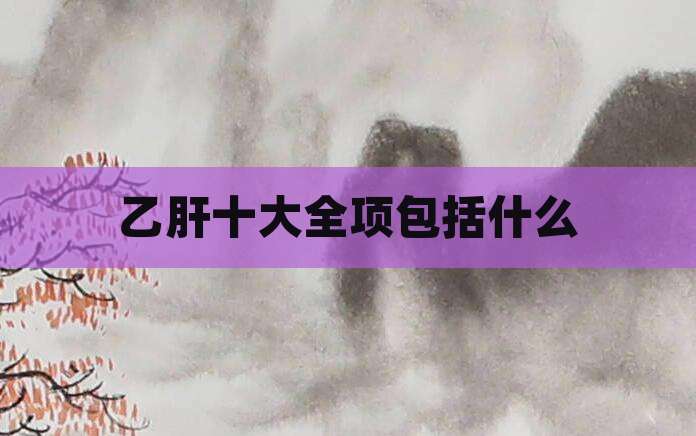 乙肝十大全项包括什么