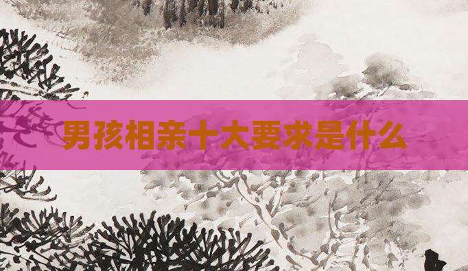 男孩相亲十大要求是什么