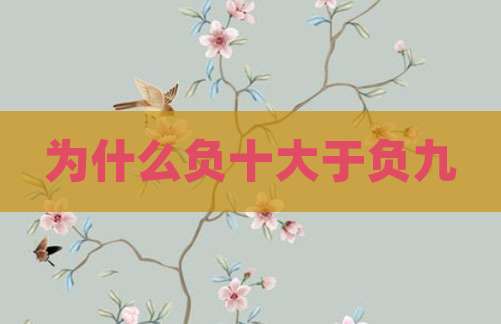 为什么负十大于负九