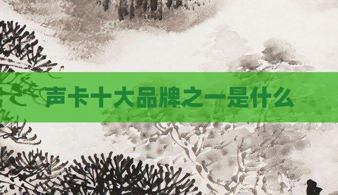 声卡十大品牌之一是什么