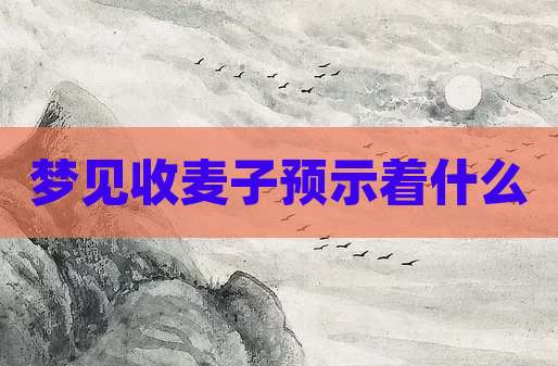 梦见收麦子预示着什么