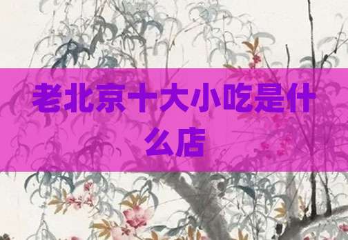 老北京十大小吃是什么店