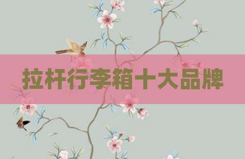 拉杆行李箱十大品牌