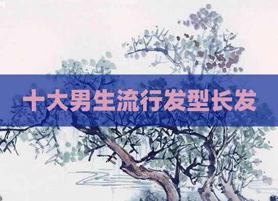 十大男生流行发型长发