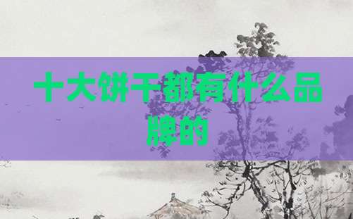十大饼干都有什么品牌的