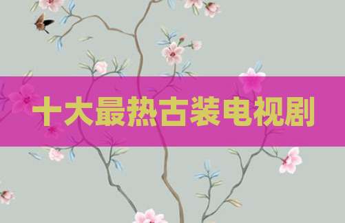 十大最热古装电视剧