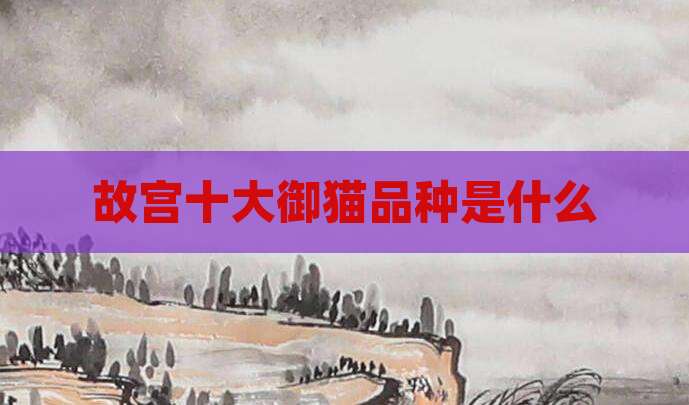故宫十大御猫品种是什么