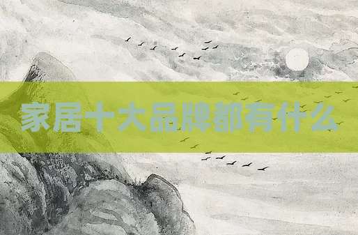 家居十大品牌都有什么