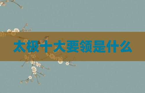 太极十大要领是什么