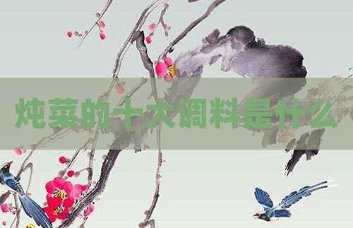 炖菜的十大调料是什么