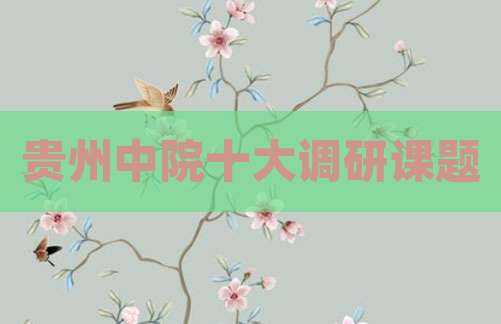 贵州中院十大调研课题