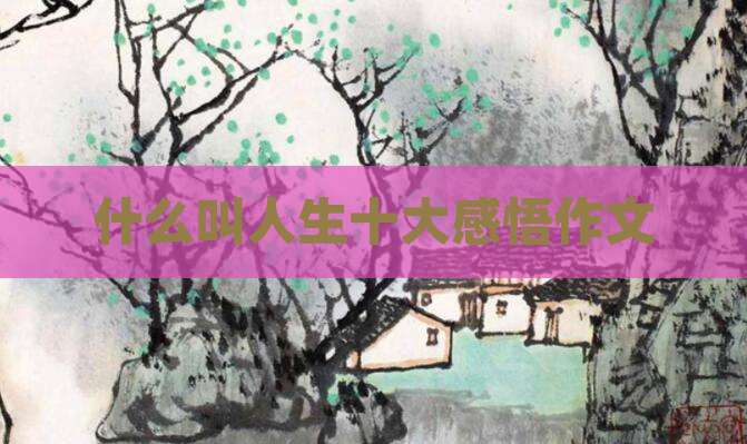 什么叫人生十大感悟作文