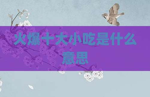 火爆十大小吃是什么意思
