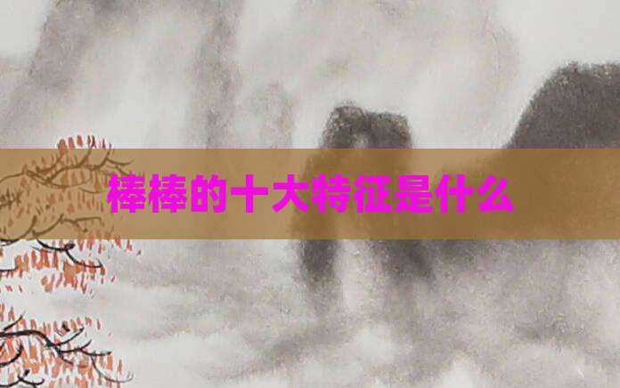 棒棒的十大特征是什么